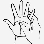 Pericardium-8-Point
